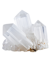 Borax 6X